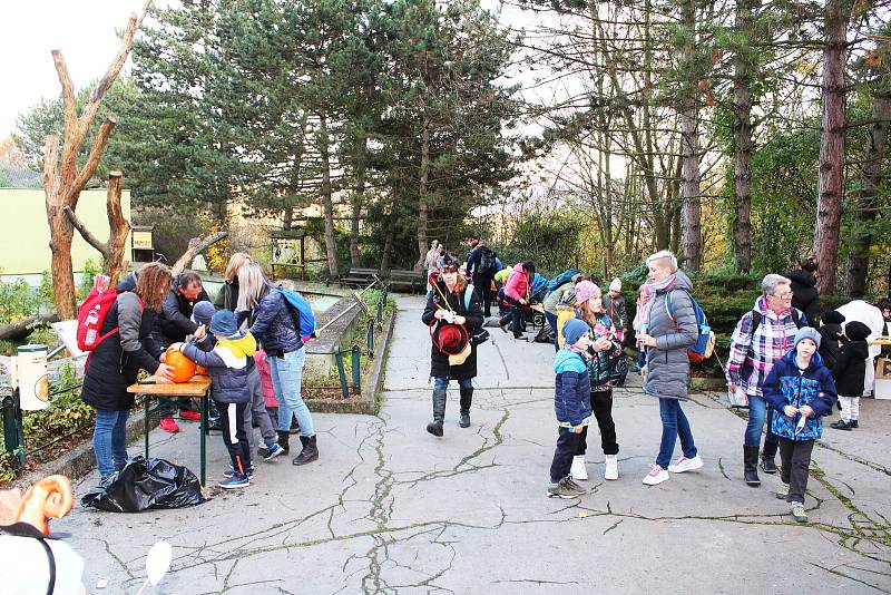 Ústecká zoologická zahrada byla strašidelná.