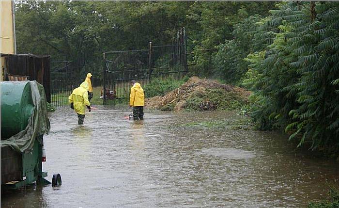 Zásah hasičů v ústecké zoo.