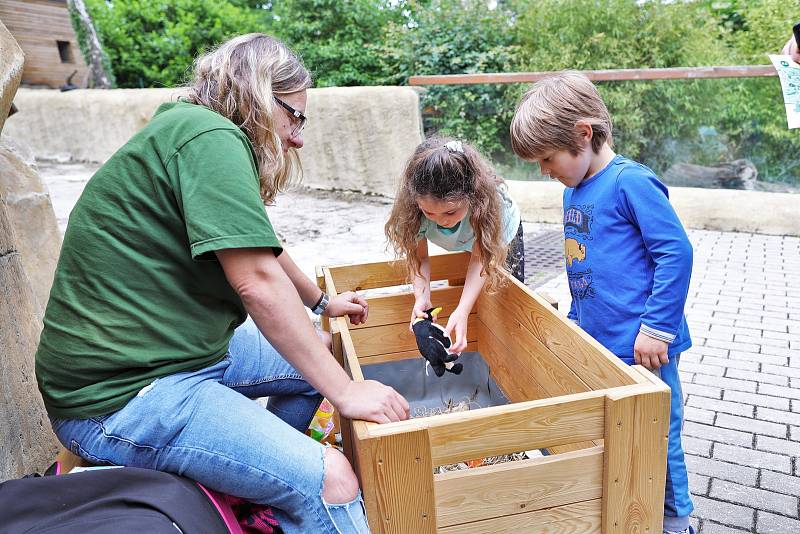 Ústecká zoologická zahrada uspořádala v sobotu 4. června dětský den.