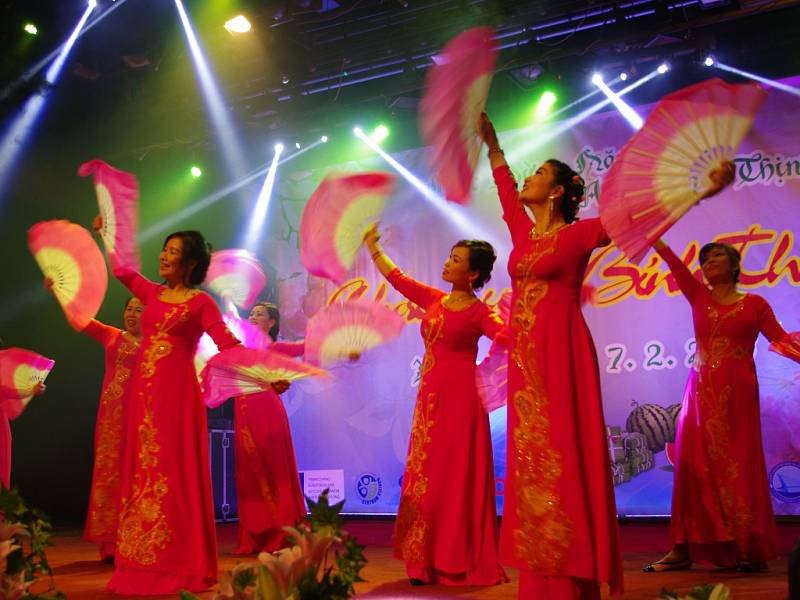 Lunární nový rok oslavily stovky Vietnamců v kulturním domě tradičním způsobem.