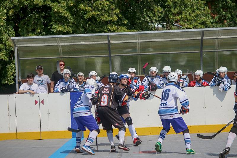 Elba DDM Ústí nad Labem - Mečouni Plzeň, 3. finále juniorské extraligy.