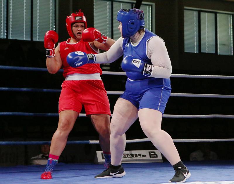 Velká cena Ústí nad Labem v boxu 2019.