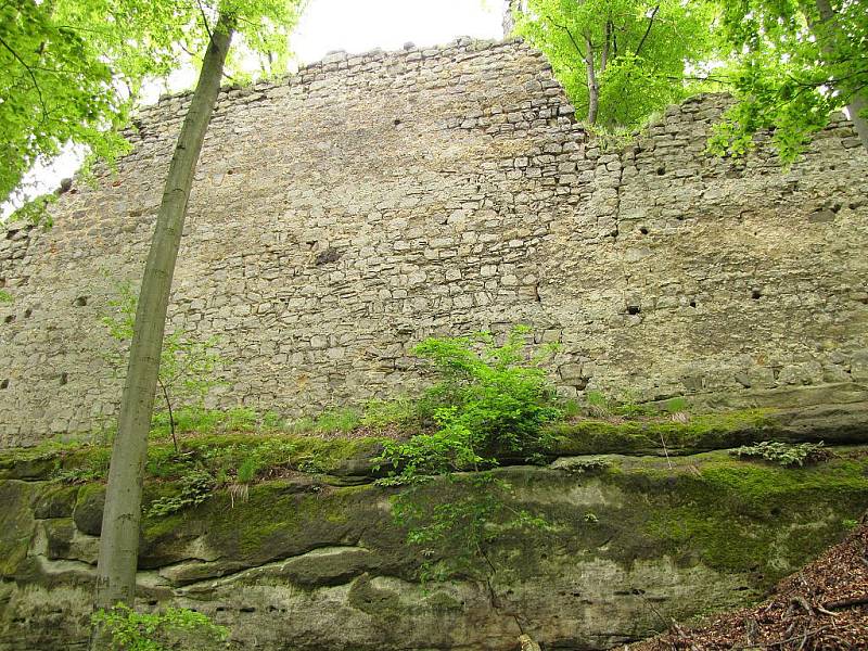 Hrad Děvín byl vybudován k ochraně obchodníků.