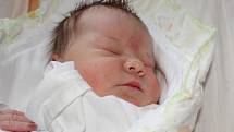 Karolína Polidarová se narodila v ústecké porodnici dne 26. 3. 2014 (4.15) mamince Miluši Polidarové, měřila 51 cm, vážila 3,75 kg.