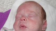 Eliáš Divíšek, se narodil v ústecké porodnici dne 6. 12. 2012 (8.21) mamince Marcele Zieglerové, vážil 0,7 kg.