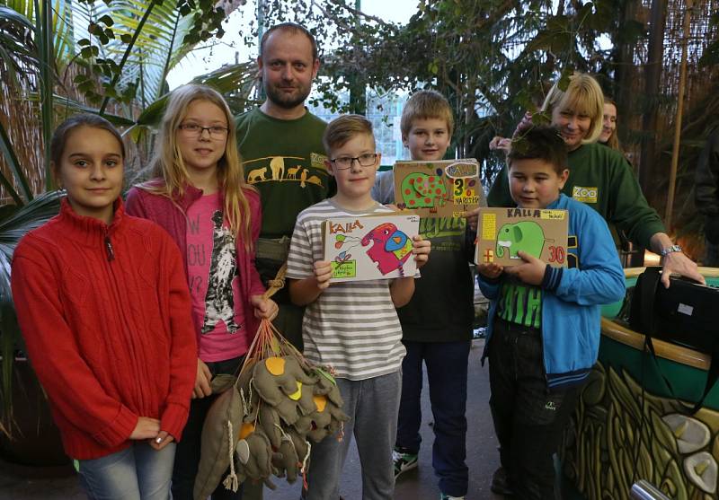 Třicet let od svého příchodu do ústecké zoo oslavila slonice Kala. 