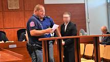 Ústecký senát zatím nepravomocně odsoudil muže za znásilnění nezletilé, obžalovaný si po poradě s advokátem Pavlem Krupkou nechal lhůtu na odvolání.