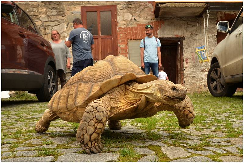 Ústečané koncem června navštívili Jeseníky a moc se jim tam líbilo