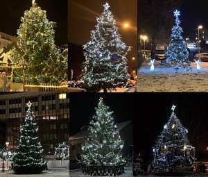 Vánoční stromy na Ústecku.
