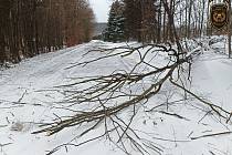 Divokou neděli způsobili hasičům popadané stromy, požár i přimrzlý opeřenec.