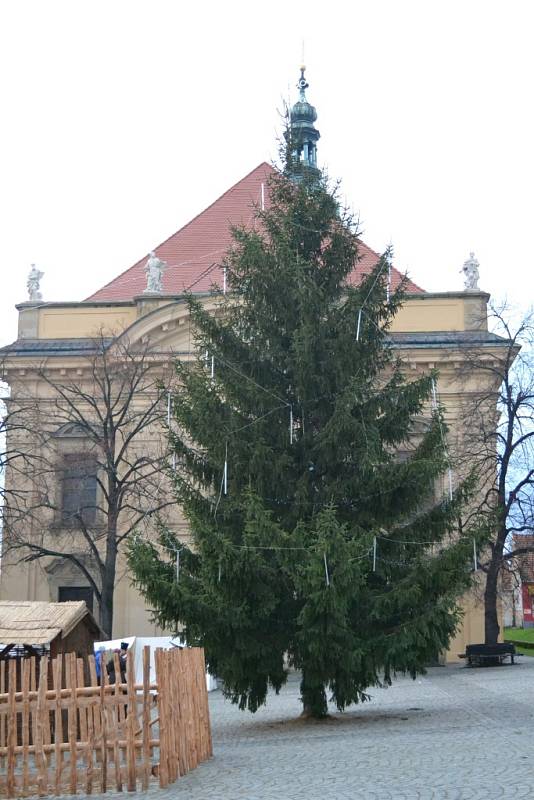 Masarykovo náměstí v Uherském Brodě zdobí asi desetimetrový smrk ztepilý. Město dostalo téměř třicetiletý strom darem z areálu někdejšího podniku Lidová tvorba.  