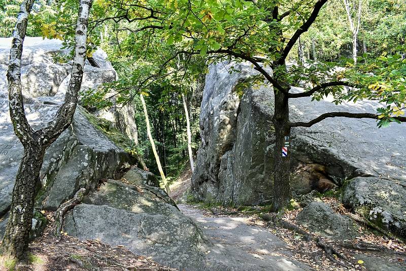 Hrad Lukov - zřícenina.