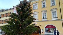 Vánoční strom se v Kroměříži rozsvítí ve čtvrtek 24. listopadu 2022.