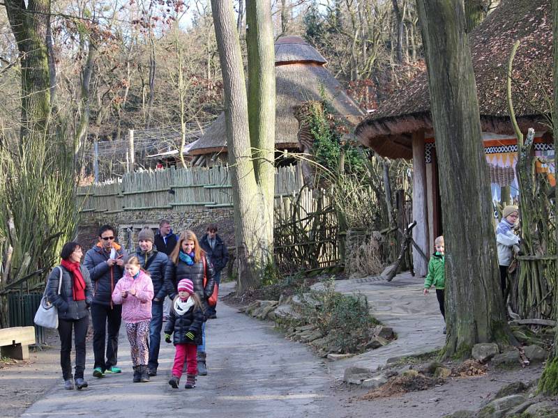 Štědrý den v zoo mezi slony a žirafami