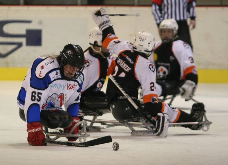 Ve Superfinále sledge hokejové ligy vyzval vítěz základní části Lapp Zlín (v černém) druhé Sharks Karlovy Vary.