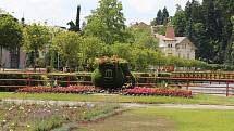 Luhačovický park omládl a provoní ho levandule, růže, rododendrony i vřesovec
