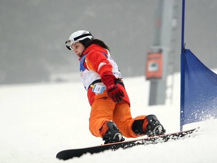 Snowboard jako jedna z nejoblíbenějších disciplín.