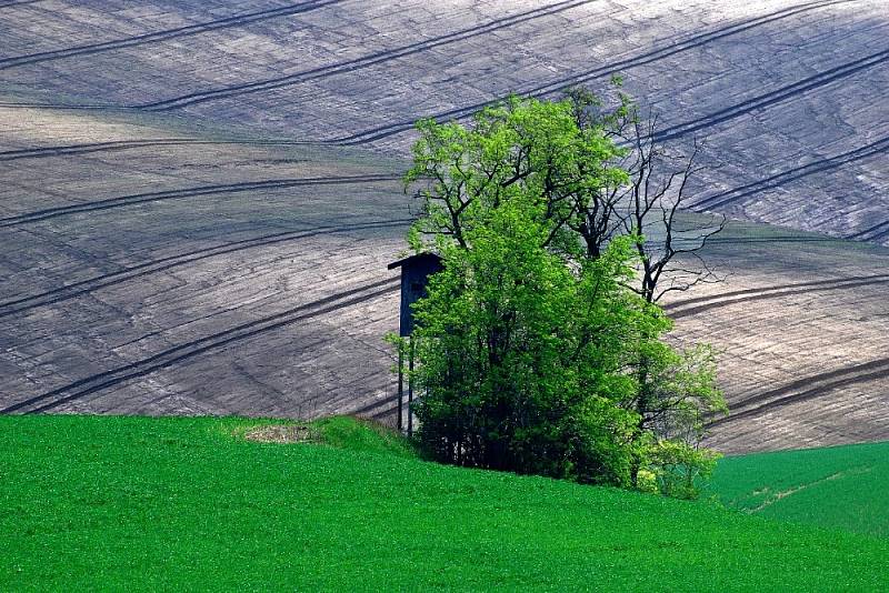 Výstava fotografií Jaroslava Kvapila v Městské galerii Otrokovice.