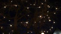 Rozsvícení vánočního stromu ve Zlíně, 1.12.2019