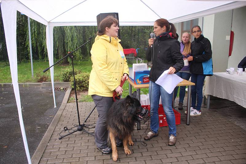 Podzimní setkání útulkových psů a jejich majitelů ve Zlíně na Vršavě.