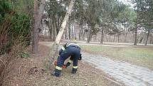 Zásahy hasičů kvůli silnému vichru ve Zlínském kraji - 30. 1. 2022