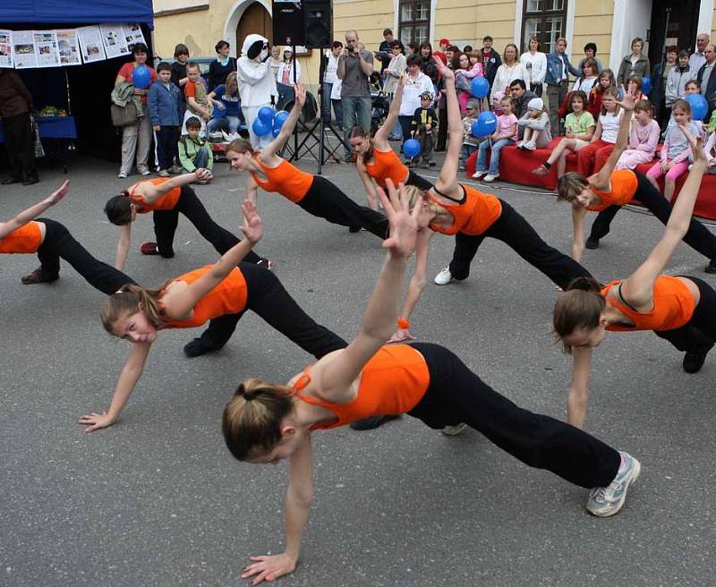 Den s Deníkem v Napajedlích (2008)