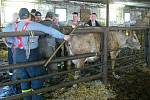 Hasiči cvičili evakuaci chovného dobytka na farmě v Kašavě. Cvičení bylo ukončeno opravdu netradičně. Neplánovaně došlo u jedné z otelených krav na "její čas" a hasiči museli asistovat přímo u porodu.