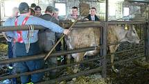 Hasiči cvičili evakuaci chovného dobytka na farmě v Kašavě. Cvičení bylo ukončeno opravdu netradičně. Neplánovaně došlo u jedné z otelených krav na "její čas" a hasiči museli asistovat přímo u porodu.