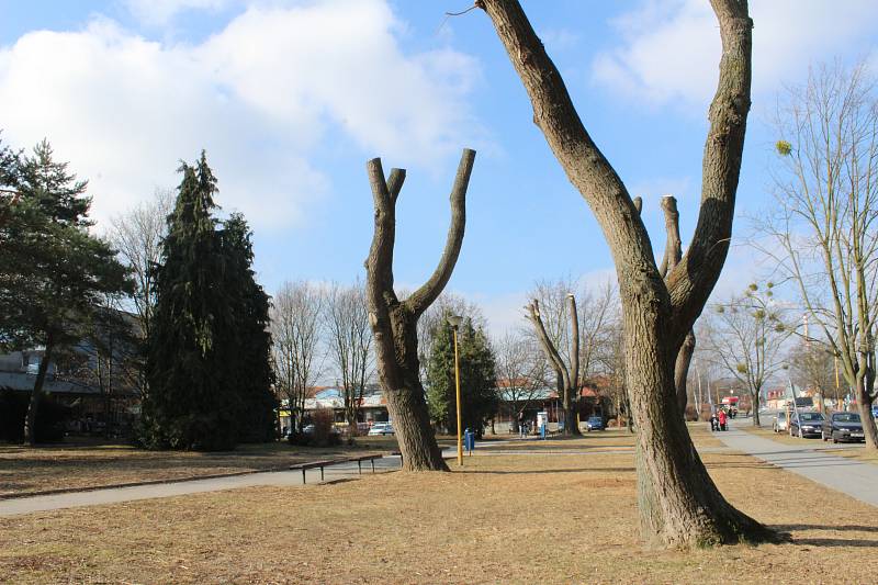 Park na sídlišti Trávníky v Otrokovicích se výhledově dočká úprav.