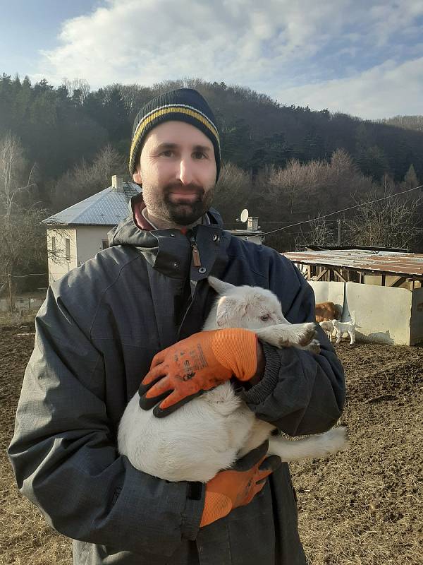 Kozí farma ve Vizovicích má první letošní kůzlata.