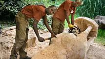 Afričtí řezbáři opět pracují v zoo ve Zlíně na dřevěných sochách.