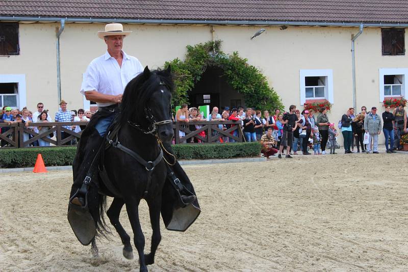 Chovatelský den Zemského hřebčince Tlumačov