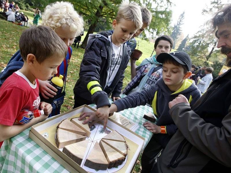 Stromové slavnosti – Den stromů v parku Sad Svobody ve Zlíně.