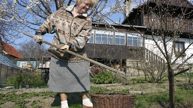 Práce na zahradě. Sadaři zodpovědně opečovávají své zahrádky, na společné práci se domlouvají hůře.