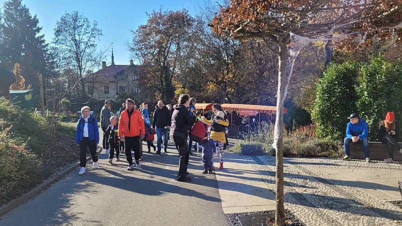 Druhý listopadový týden přinesl zlínské zoo rekordní návštěvnost