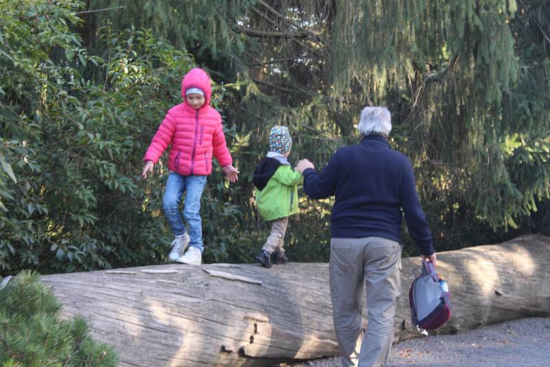 Zlínská zoo oslavila sedmdesátku.