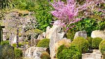 ZOO Zlín se 27. dubna 2020 po šesti týdnech znovu otevřela pro veřejnost. Na snímku japonská zahrada Mu-Shin.