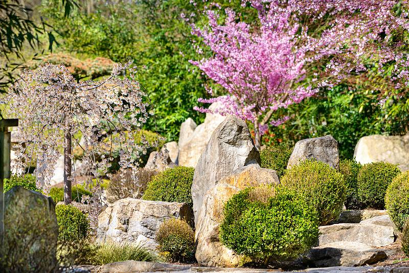 ZOO Zlín se 27. dubna 2020 po šesti týdnech znovu otevřela pro veřejnost. Na snímku japonská zahrada Mu-Shin.