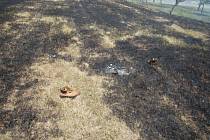 Vypalování trávy se zvrtlo v požár
