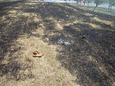Vypalování trávy se zvrtlo v požár