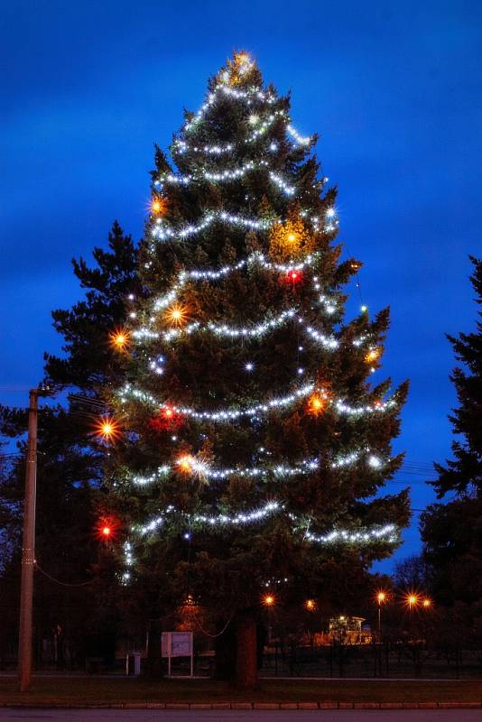 Vánoční strom Jankovice