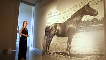 Výstava Koně a Napajedla v muzeu v Napajedlích.