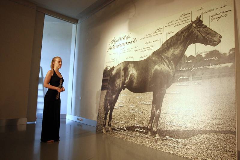 Výstava Koně a Napajedla v muzeu v Napajedlích.