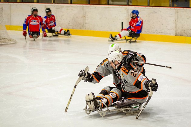 Sledge hokejisté Zlína se v sobotu utkají doma s Pardubicemi.