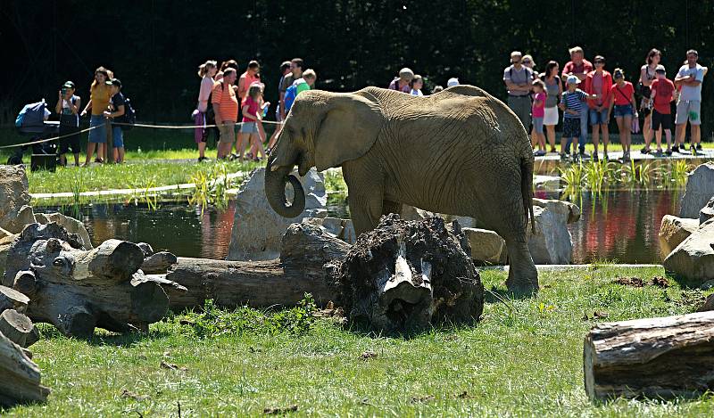 Nový výběh pro slony Karibuni ve zlínské zoo