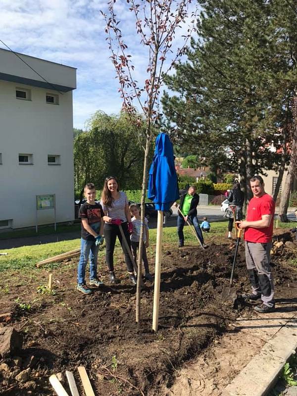 Sázení stromů v Luhačovicích, 15. května 2021