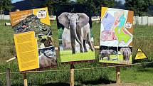 Nový výběh pro slony Karibuni ve zlínské zoo
