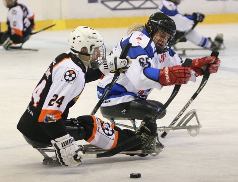 Ve Superfinále sledge hokejové ligy vyzval vítěz základní části Lapp Zlín (v černém) druhé Sharks Karlovy Vary.