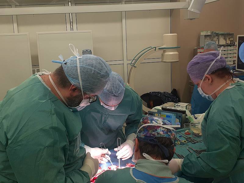 Ve Zlíně provedli ve středu 25. ledna 2022 unikátní operaci. Zničenou holenní kost devětadvacetileté ženy nahradili její lýtkovou kostí.