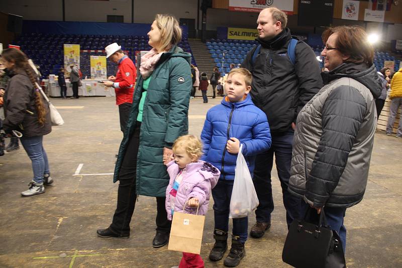 Ve Zlíně začal čokoládový festival.